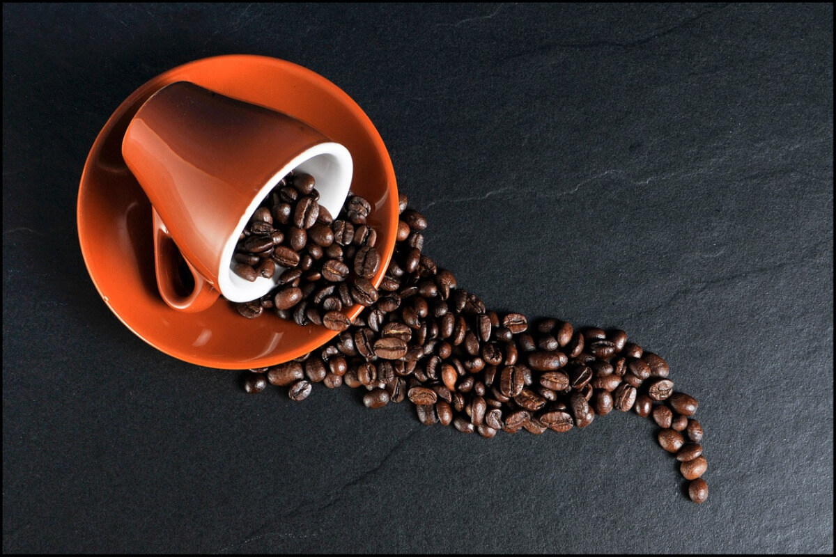 caffe